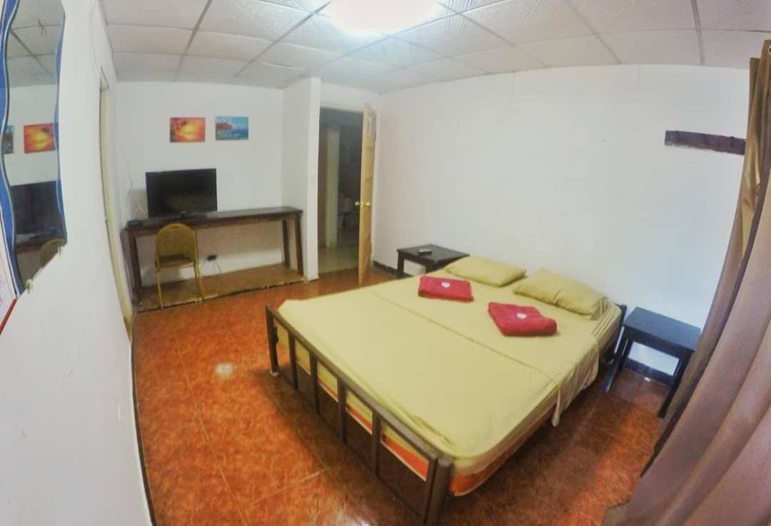 Bambu Hostel ダビッド エクステリア 写真