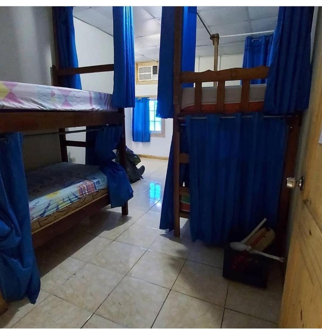 Bambu Hostel ダビッド エクステリア 写真