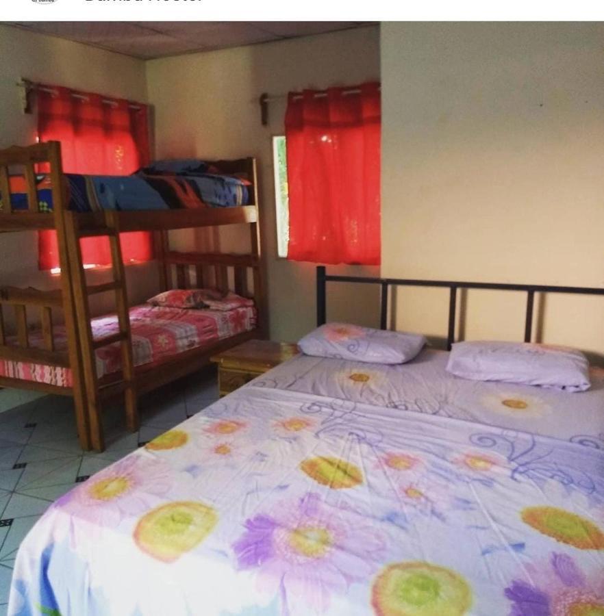 Bambu Hostel ダビッド エクステリア 写真