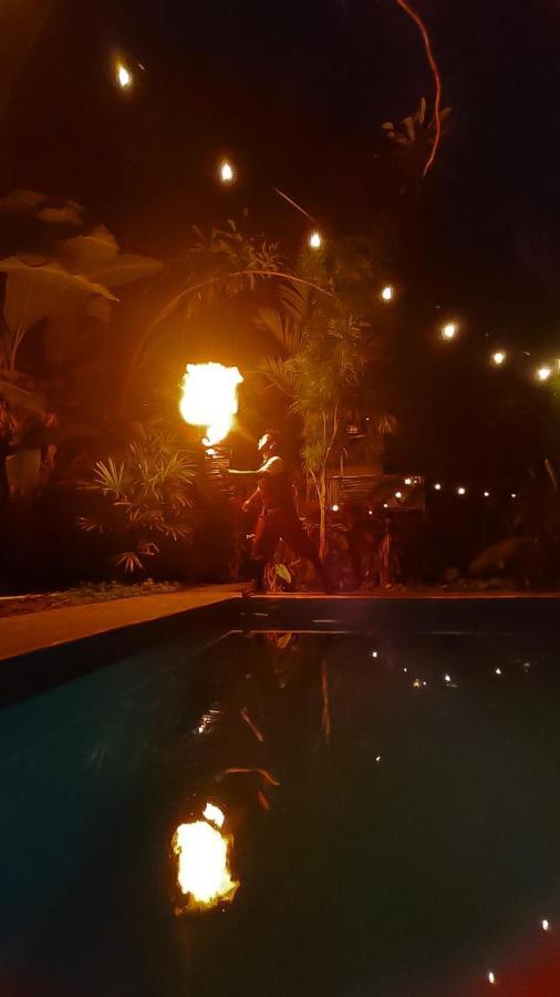 Bambu Hostel ダビッド エクステリア 写真