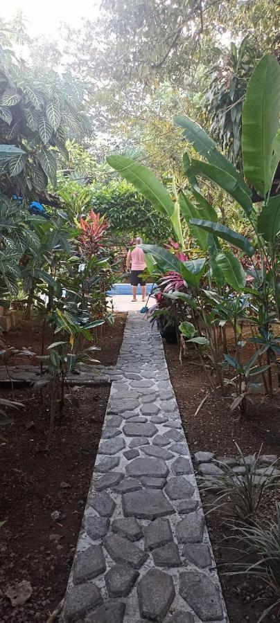 Bambu Hostel ダビッド エクステリア 写真