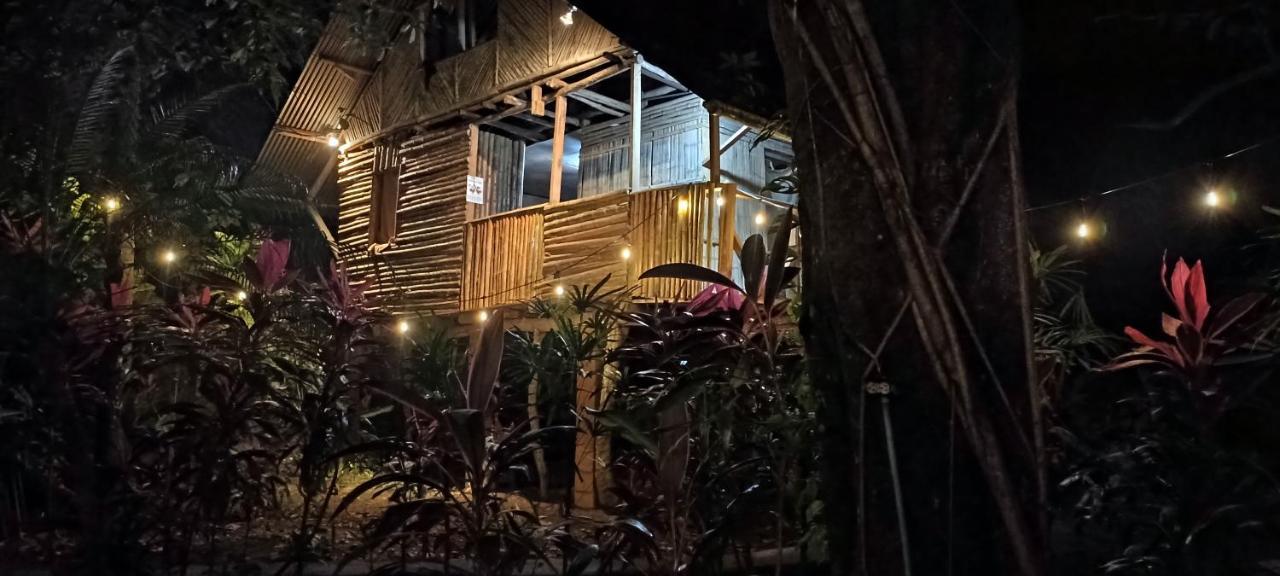 Bambu Hostel ダビッド エクステリア 写真