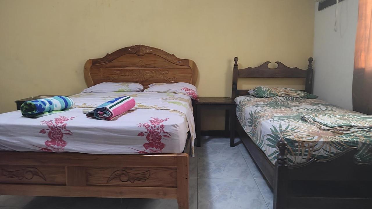 Bambu Hostel ダビッド エクステリア 写真