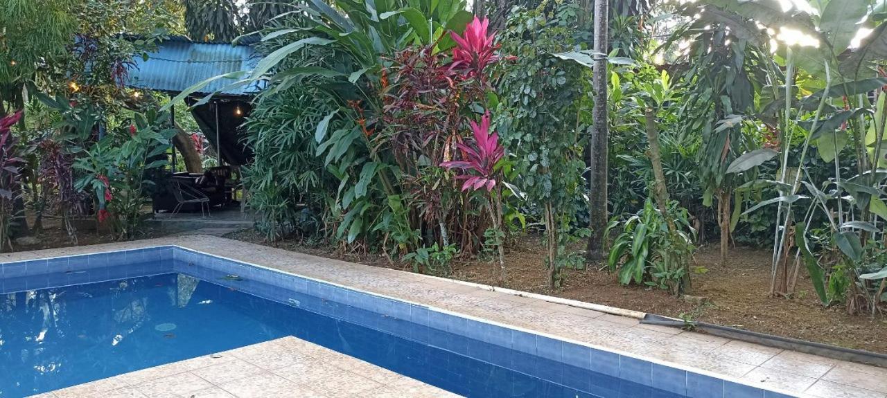 Bambu Hostel ダビッド エクステリア 写真