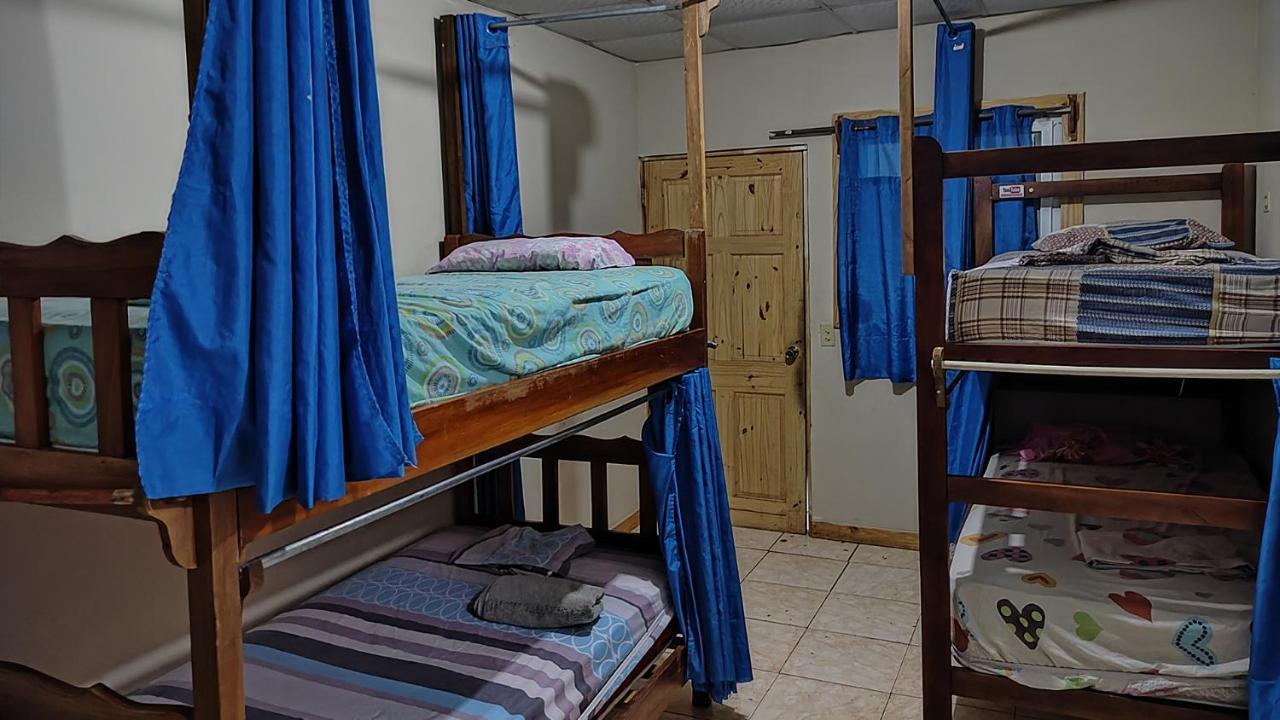 Bambu Hostel ダビッド エクステリア 写真