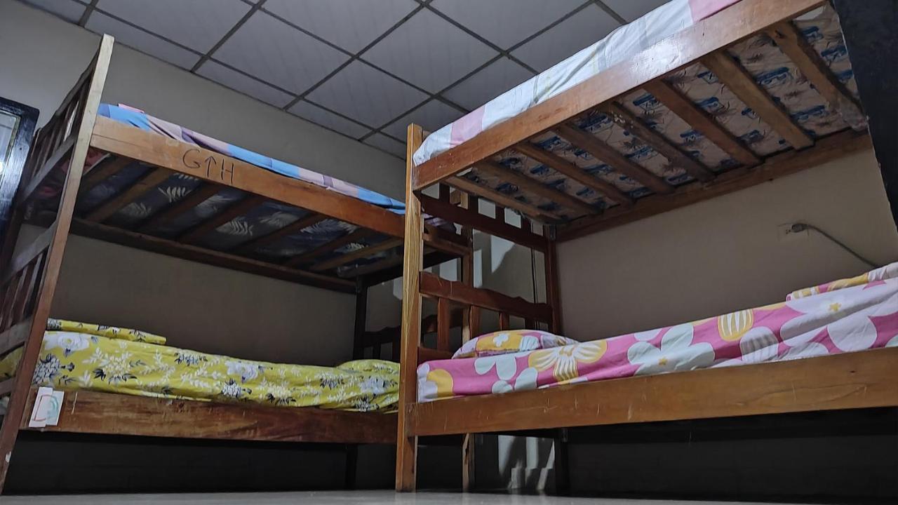 Bambu Hostel ダビッド エクステリア 写真