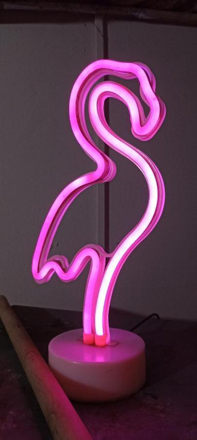 Bambu Hostel ダビッド エクステリア 写真