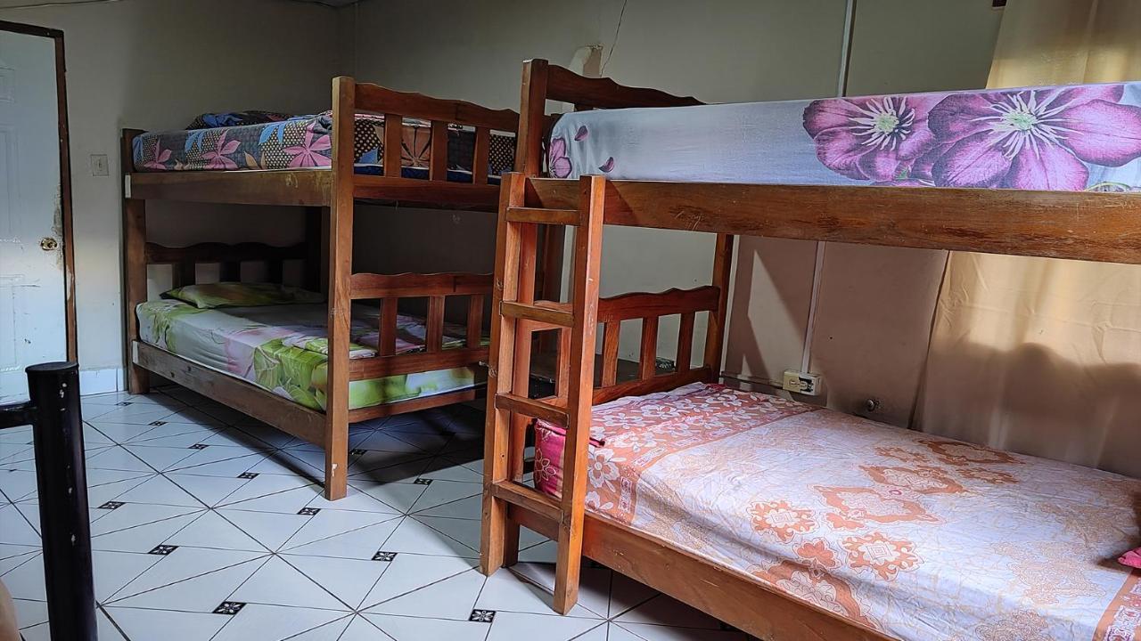 Bambu Hostel ダビッド エクステリア 写真