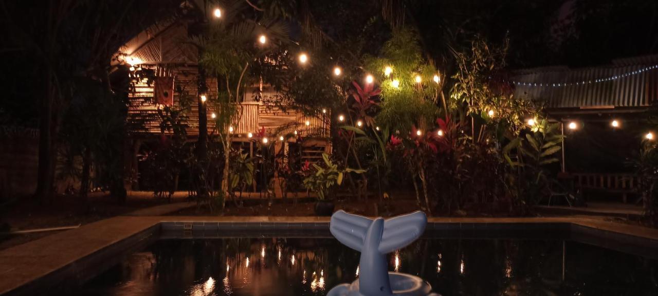Bambu Hostel ダビッド エクステリア 写真