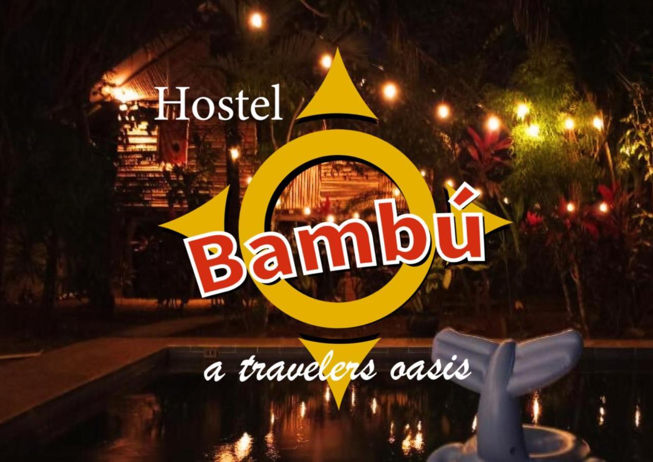 Bambu Hostel ダビッド エクステリア 写真